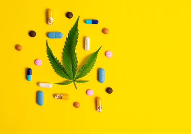 budtender training